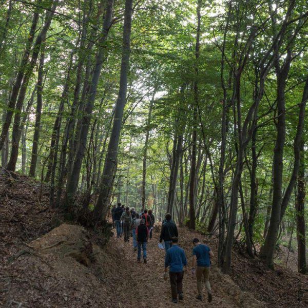 nel-bosco-di-santa-cristina